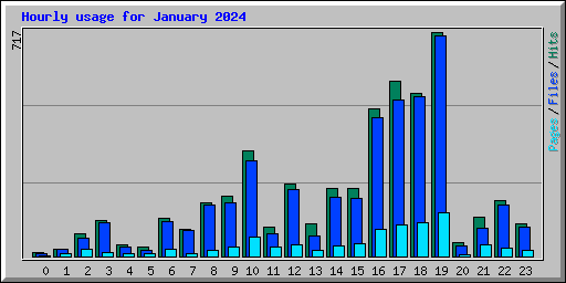 Hourly usage for January 2024